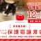 全国の保護猫カフェ4か所で日本最大級の保護猫譲渡会開催
