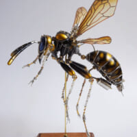 K SUZUKIさんの機械昆虫「ハチ」（K SUZUKIさん提供）