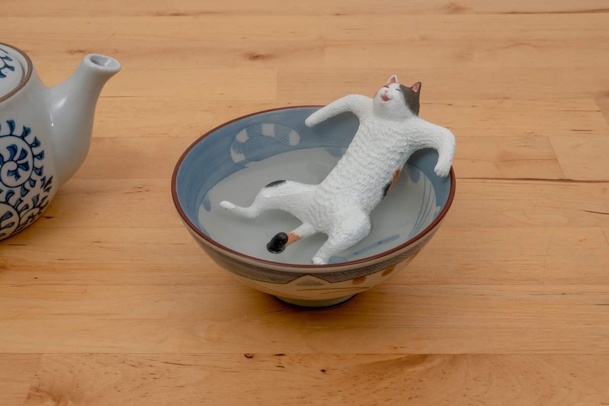 茶碗風呂を満喫する猫「いい湯だにゃ～」