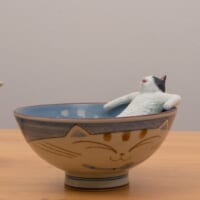 茶碗風呂を満喫する猫