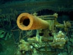 「仰天！海の底まる見え検証：核兵器の残骸」の一場面