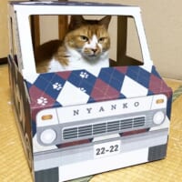 ダンボールの猫トラック