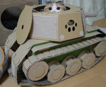 「敵、発見にゃ！」ハッチから顔を出す猫がかわいすぎるダンボール戦車