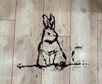 床にこぼしたコーヒーの粉で描かれたうさぎ（ふぇんさん提供）