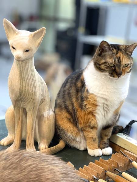 木彫りの猫とリアル猫の対比が面白い