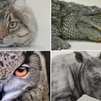 様々な動物の肖像画を描く投稿者。違った一面を披露しています。