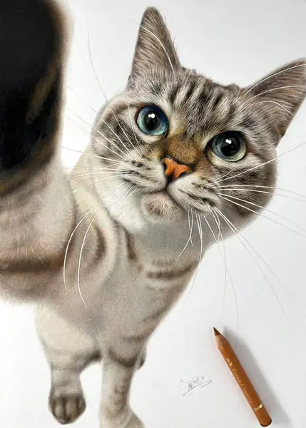 絵？えええ！色鉛筆で描かれた猫の精密さに驚愕 カメラの被写界深度や 