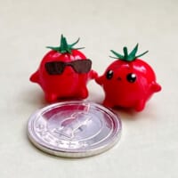 小さなトマト（わるるぎさん提供）