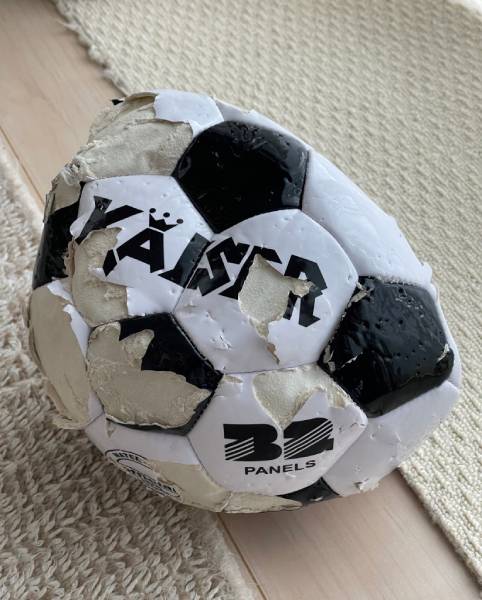 買ったばかりのサッカーボールをガブリ！ものの数分で壊しちゃった柴ワンコ | おたくま経済新聞