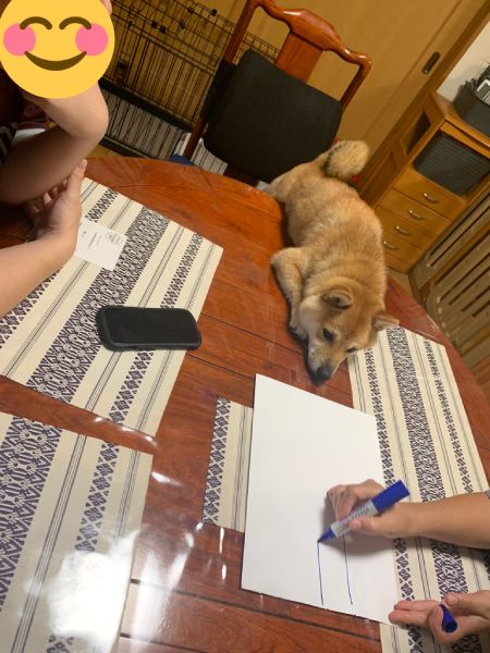 重要案件だワン。家族会議に積極参加する犬。
