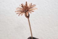 ヤマザクラの木で作られたタンポポの花（Mokoya craftさん提供）