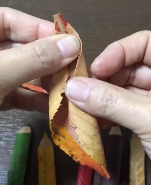 削れた木の部分で使用する落ち葉の先を折って重ね両サイドを丸める