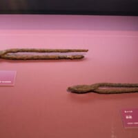 鉄鉗（4世紀末～5世紀前半：国立金海博物館蔵）