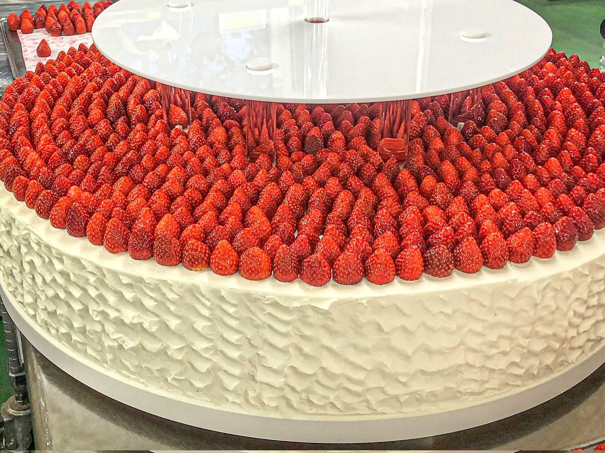 これぞ夢見る超特大ショートケーキ　作った本人も「サイズ感意味わからなすぎて脳がバグる」