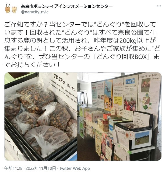 ご不要になった「どんぐり」は当施設へ持ち込み下さい　奈良市ボランティアインフォメーションセンターの「どんぐり回収BOX」が話題