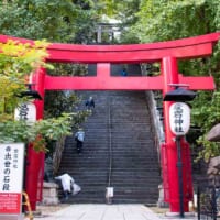 東京・愛宕神社の男坂（出世の石段）