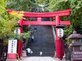 東京・愛宕神社の男坂（出世の石段）