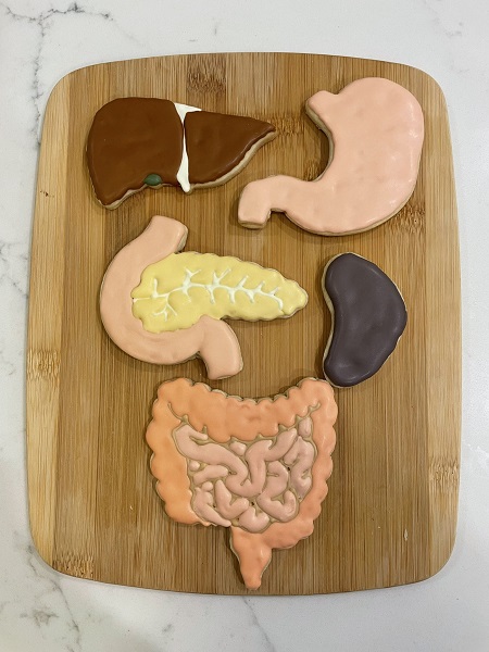 お医者さんが作成　臓器の形をしたお菓子「たべっ子 ぞうもつ」