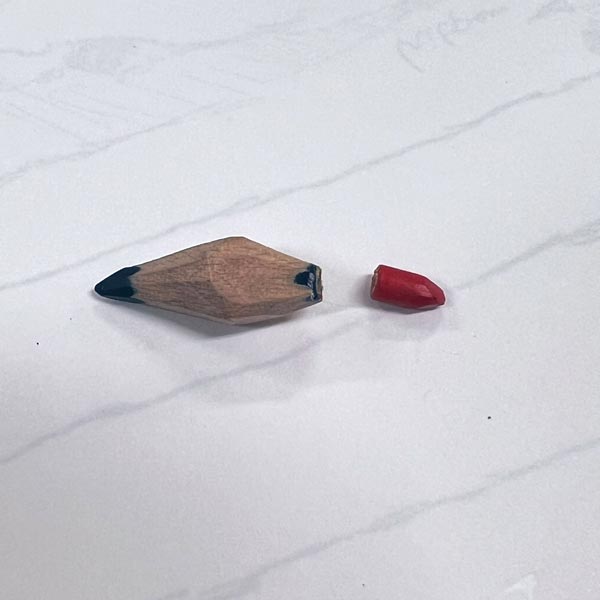 赤の芯が境目から脱落した赤青鉛筆（心の中の植物園　宮さん提供）