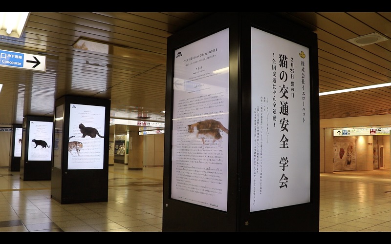 新宿駅や渋谷駅のデジタルサイネージで発表