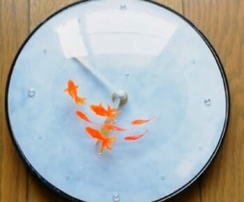 文字盤の上を7匹の金魚が優雅に泳ぐ　見た目も涼しげな切り絵の壁掛け時計