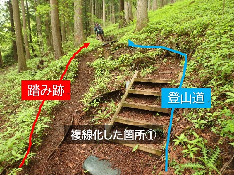登山者による「踏み跡」問題　神奈川県自然環境保全センターが警鐘