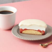 井村屋「ショートケーキアイス」新発売　とろける味わいを再現