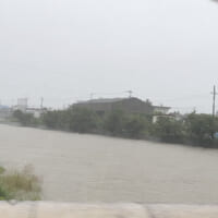 浜松市の大雨で川幅が広がる様子