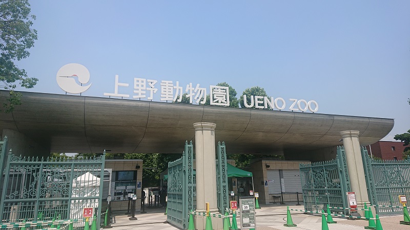 上野動物園で夏休み特別企画として親子参加型のイベントが開催