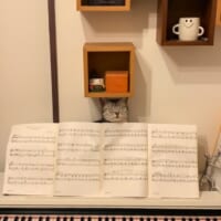 楽譜の裏からひょっこりにゃん　ピアノ練習中に現れる猫さんに癒やされる