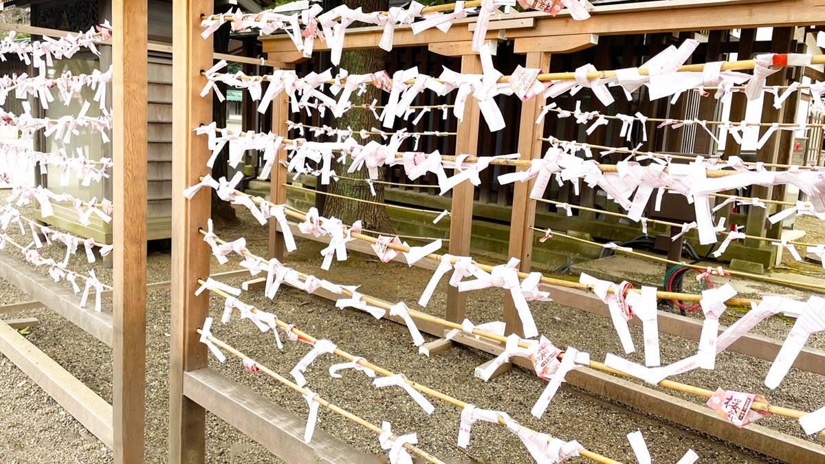 おみくじ掛けがある場合は御神木などに結ばないで！京都の和紙製品メーカーがSNSで注意喚起