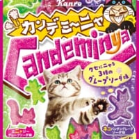 猫の日にちなみカンロから「カンデミーニャグミ」発売　レアな肉…